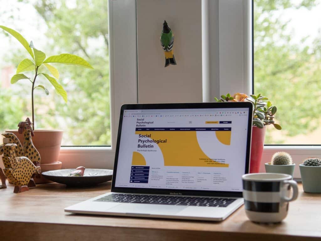 Welke social media werkt voor welke site